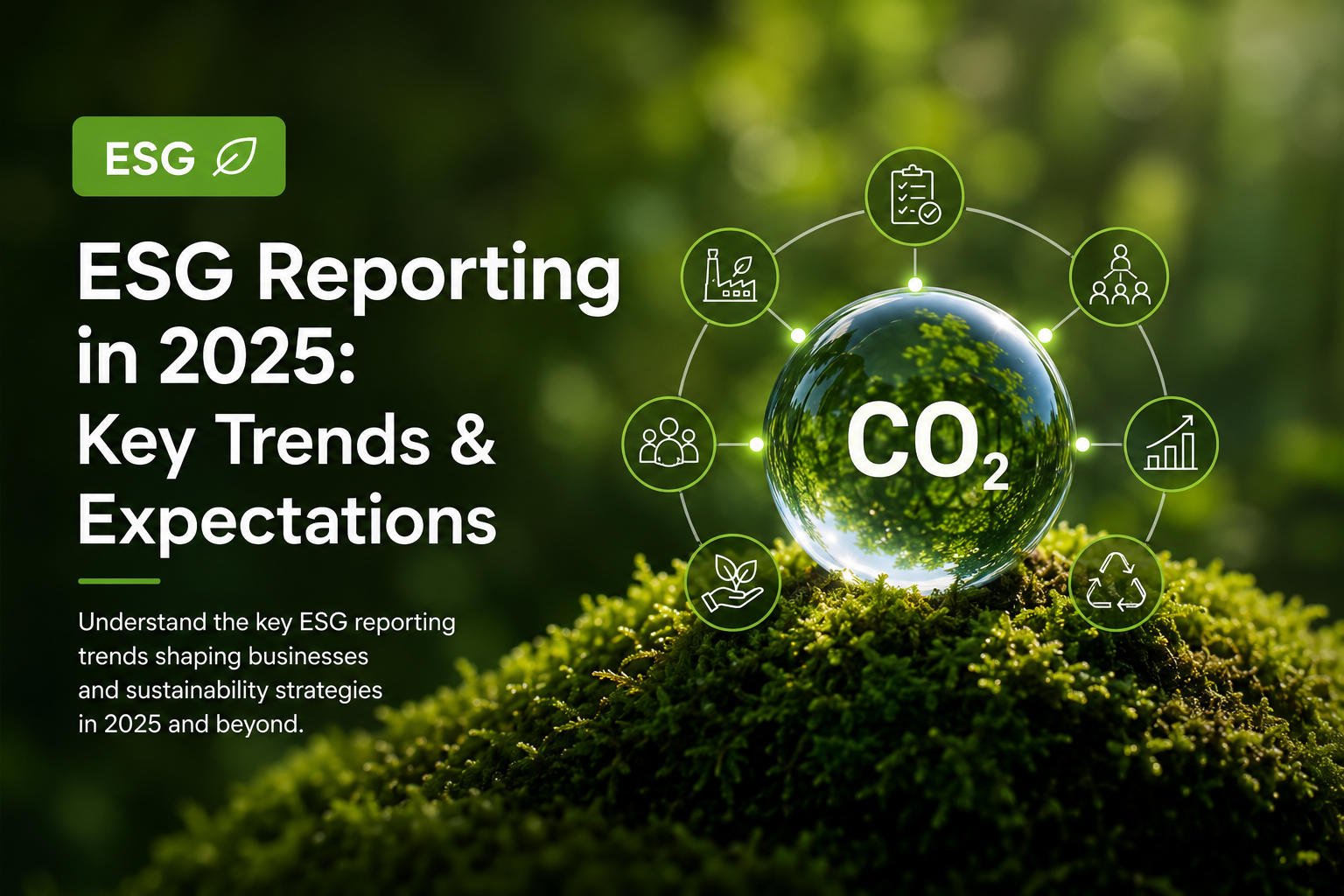 ESG Reporting in 2025: Key Trends & Expectations visual