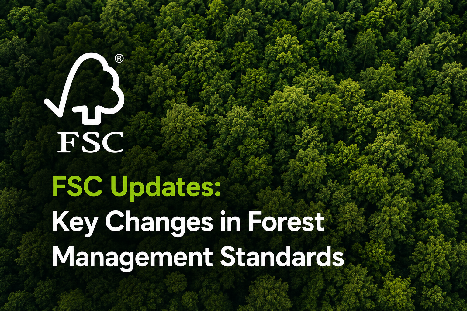 FSC Updates: Key Changes in Forest Management Standards visual